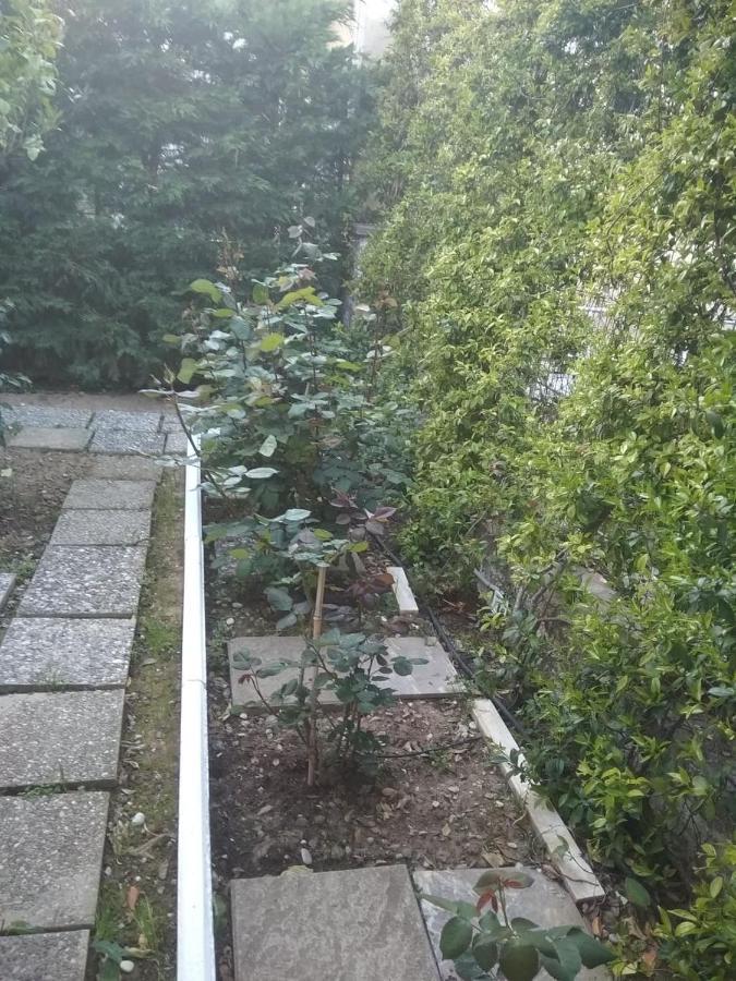 Villa Ανακαινισμενη Μονοκατοικια 125 Τμ Στο Κεντρο Με Κηπο Mesolóngion Exterior foto